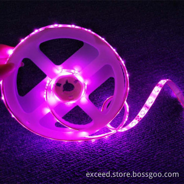 Sensor Bed Light for Double Bed